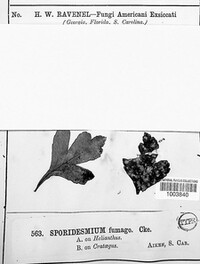 Image Associated With the Occurence